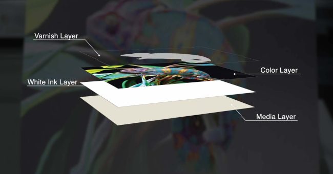 Screenshot 2025-07-21 021306